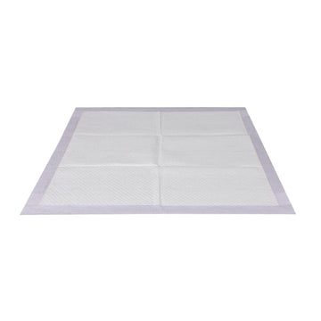 PaWz 200x Pet Dog Toilet Training Pad Puppy Potty Pee Mat Super Absorbent60x60cm Petsleisure